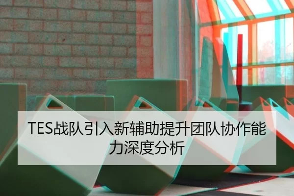 TES战队引入新辅助提升团队协作能力深度分析